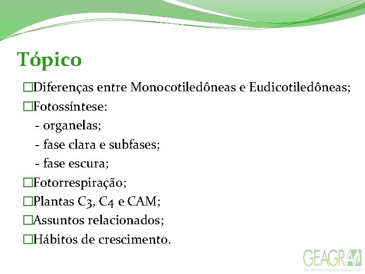 Tópico �Diferenças entre Monocotiledôneas e Eudicotiledôneas; �Fotossíntese: - organelas; - fase clara e subfases; Tópico �Diferenças entre Monocotiledôneas e Eudicotiledôneas; �Fotossíntese: - organelas; - fase clara e subfases;