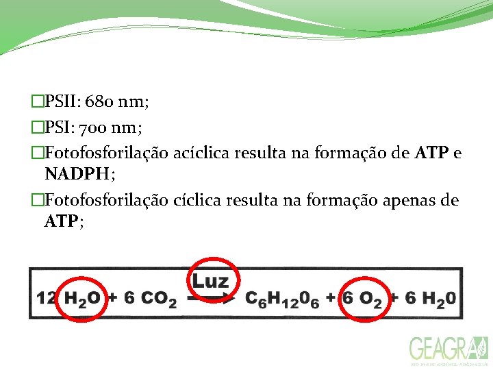 �PSII: 680 nm; �PSI: 700 nm; �Fotofosforilação acíclica resulta na formação de ATP e