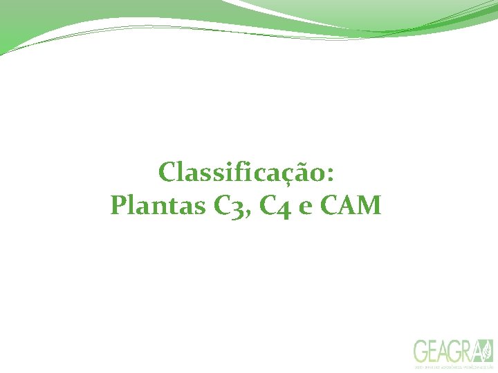 Classificação: Plantas C 3, C 4 e CAM 