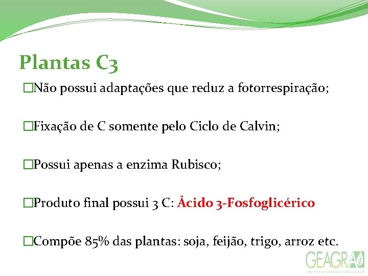 Plantas C 3 �Não possui adaptações que reduz a fotorrespiração; �Fixação de C somente