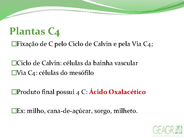 Plantas C 4 �Fixação de C pelo Ciclo de Calvin e pela Via C