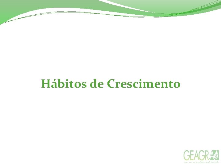 Hábitos de Crescimento 