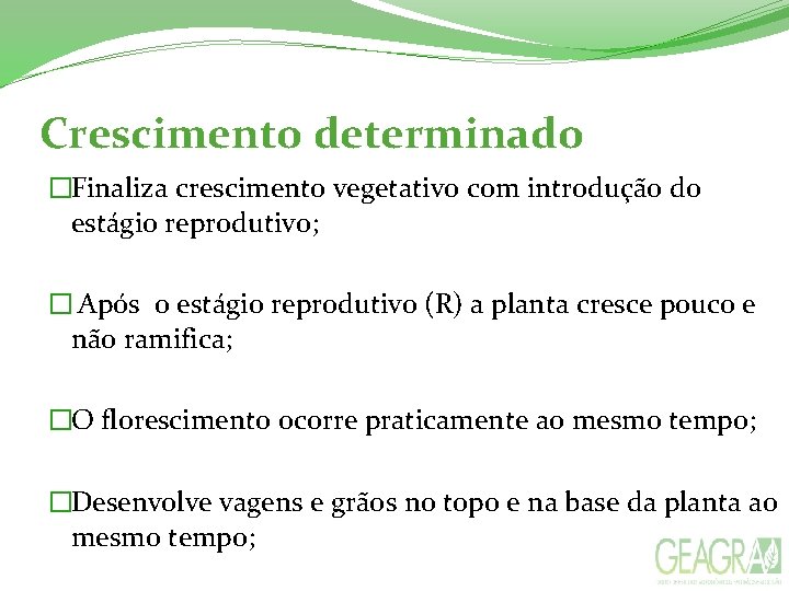 Crescimento determinado �Finaliza crescimento vegetativo com introdução do estágio reprodutivo; � Após o estágio