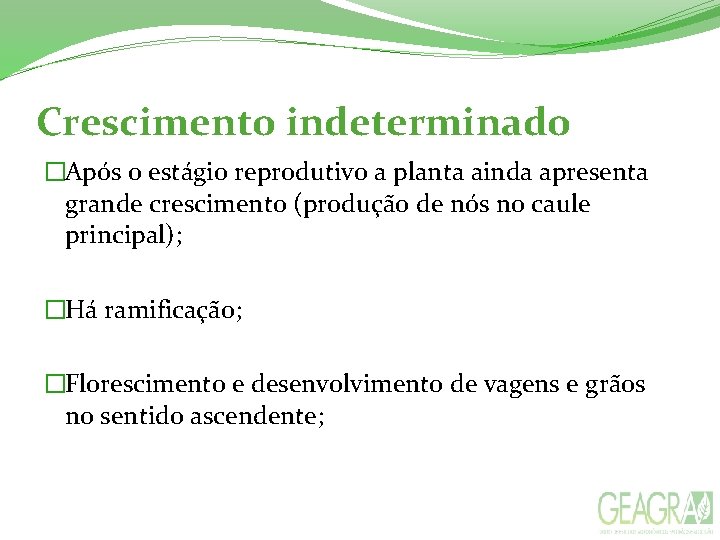 Crescimento indeterminado �Após o estágio reprodutivo a planta ainda apresenta grande crescimento (produção de