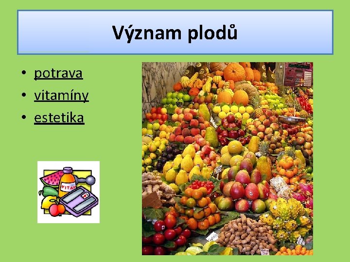 Význam plodů • potrava • vitamíny • estetika 