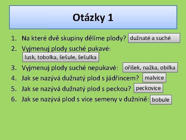 Otázky 1 1. Na které dvě skupiny dělíme plody? dužnaté a suché 2. Vyjmenuj