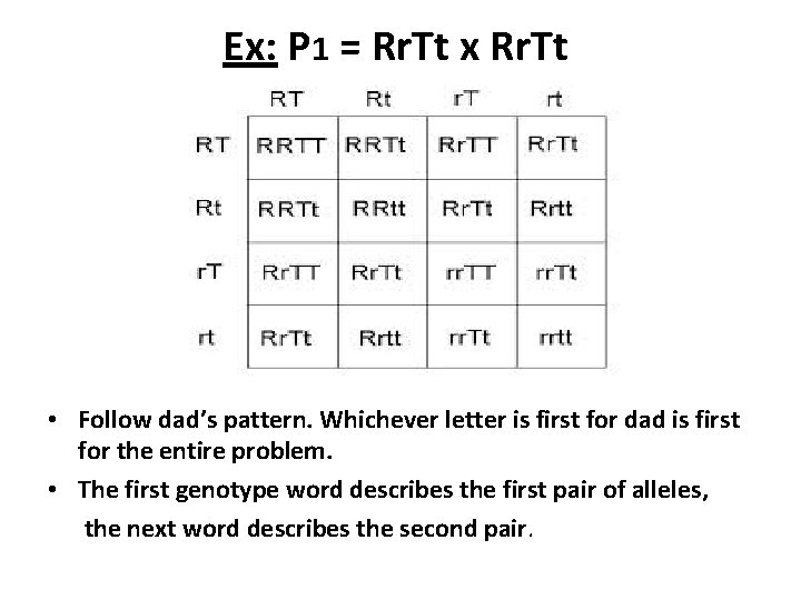 Ex: P 1 = Rr. Tt x Rr. Tt • Follow dad’s pattern. Whichever