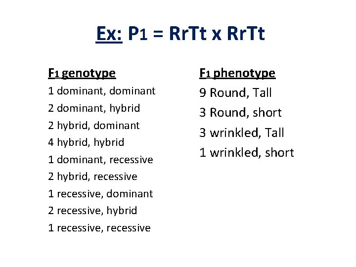 Ex: P 1 = Rr. Tt x Rr. Tt F 1 genotype 1 dominant,