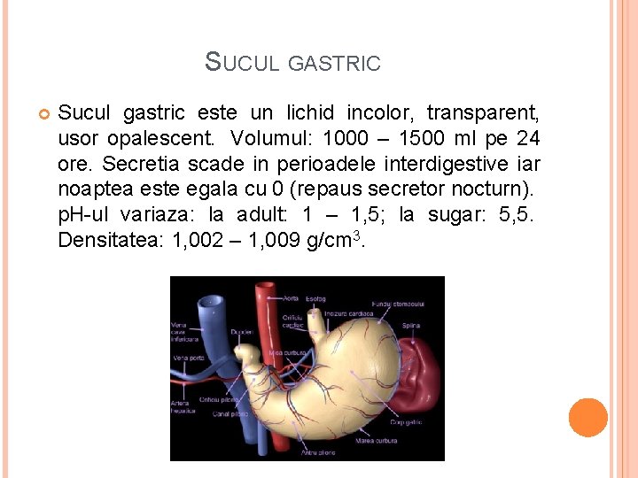  SUCUL GASTRIC Sucul gastric este un lichid incolor, transparent, usor opalescent. Volumul: 1000