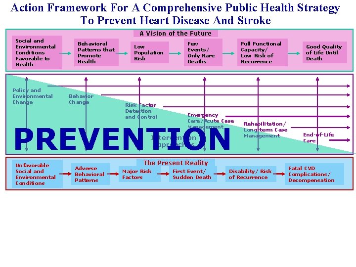 Action Framework For A Comprehensive Public Health Strategy To Prevent Heart Disease And Stroke