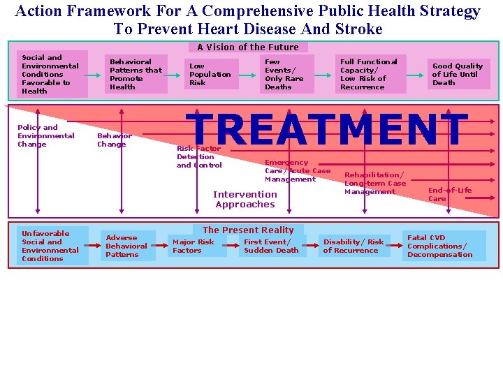 Action Framework For A Comprehensive Public Health Strategy To Prevent Heart Disease And Stroke