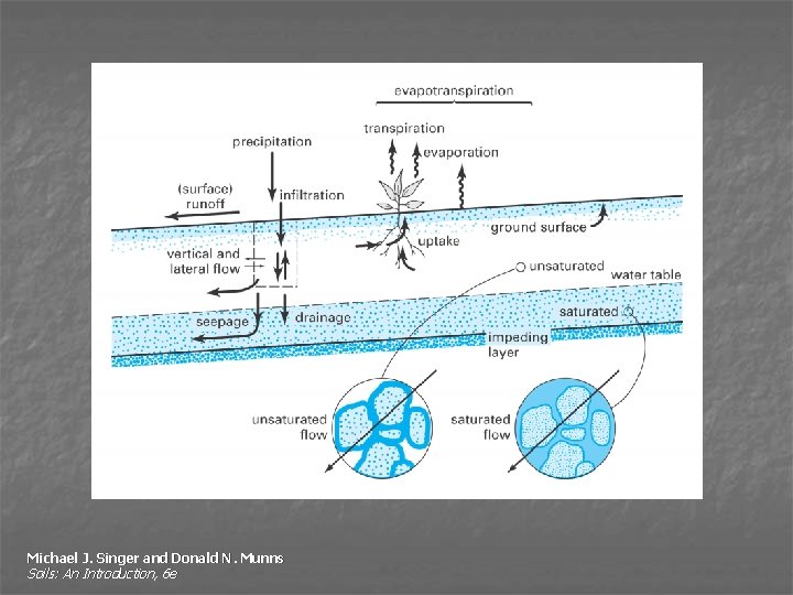 Michael J. Singer and Donald N. Munns Soils: An Introduction, 6 e 