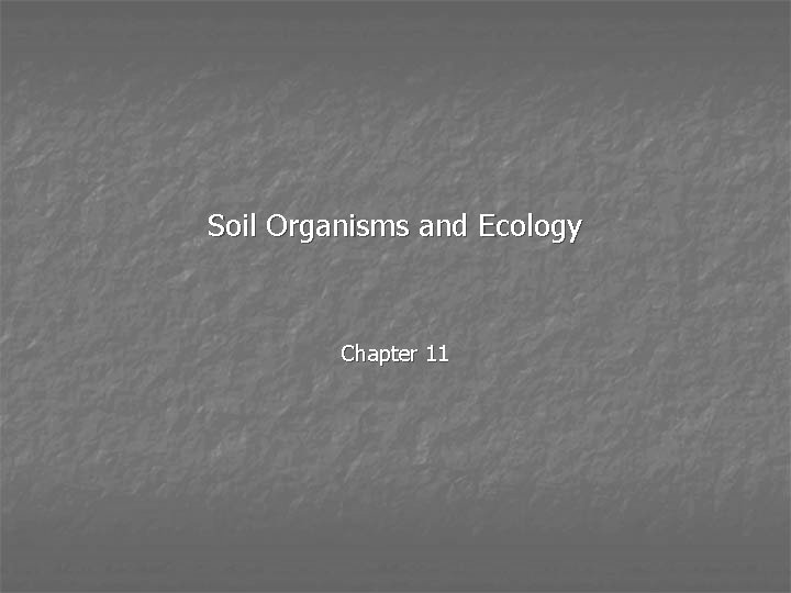 Soil Organisms and Ecology Chapter 11 