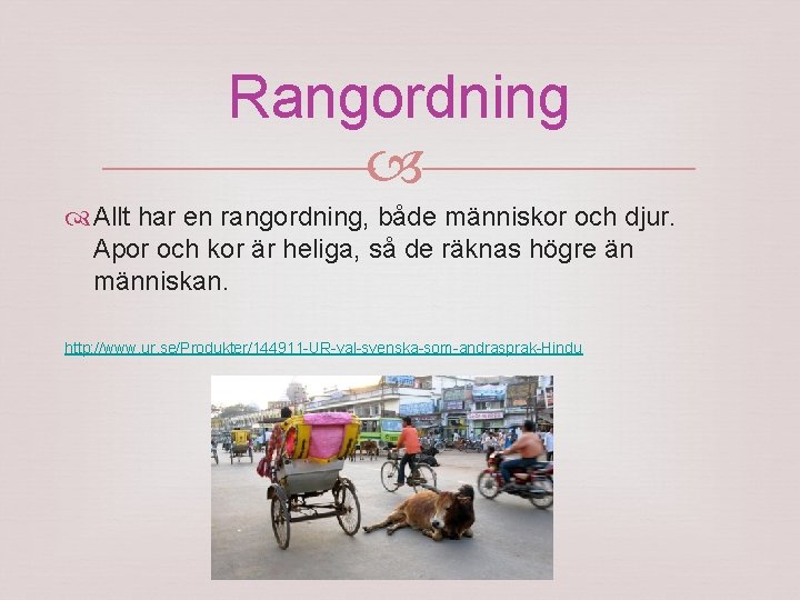 Rangordning Allt har en rangordning, både människor och djur. Apor och kor är heliga,