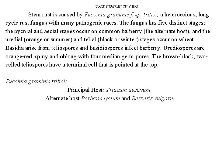 BLACK STEM RUST OF WHEAT Stem rust is caused by Puccinia graminis f. sp.