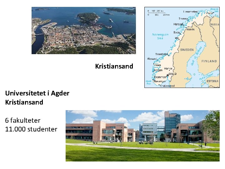 Kristiansand Universitetet i Agder Kristiansand 6 fakulteter 11. 000 studenter 