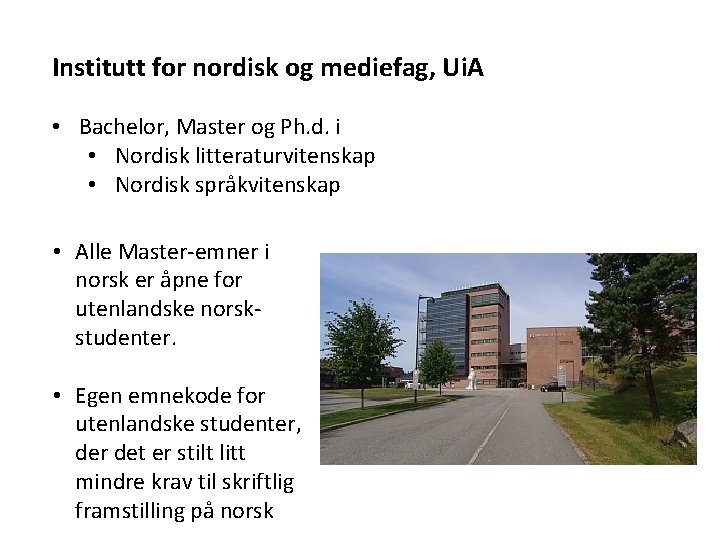 Institutt for nordisk og mediefag, Ui. A • Bachelor, Master og Ph. d. i