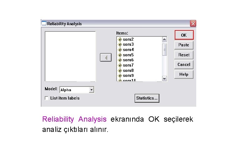 Reliability Analysis ekranında OK seçilerek analiz çıktıları alınır. 