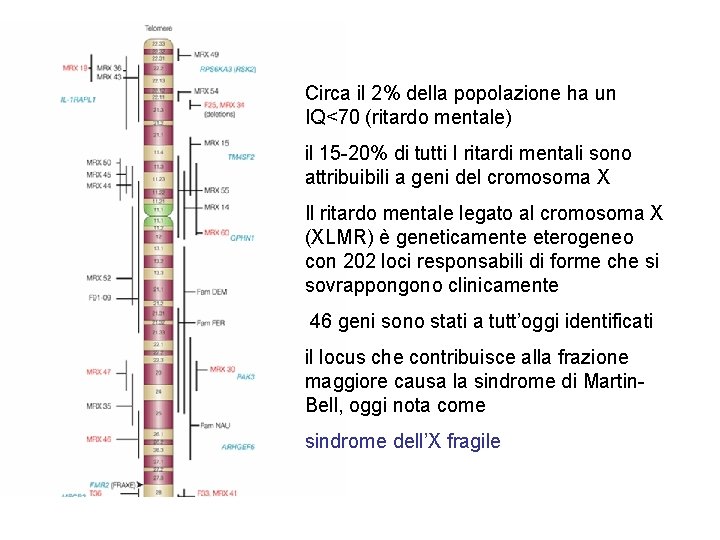 Circa il 2% della popolazione ha un IQ<70 (ritardo mentale) il 15 -20% di