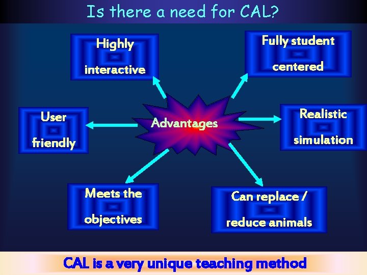 Is there a need for CAL? Highly Fully student interactive centered User Advantages Realistic