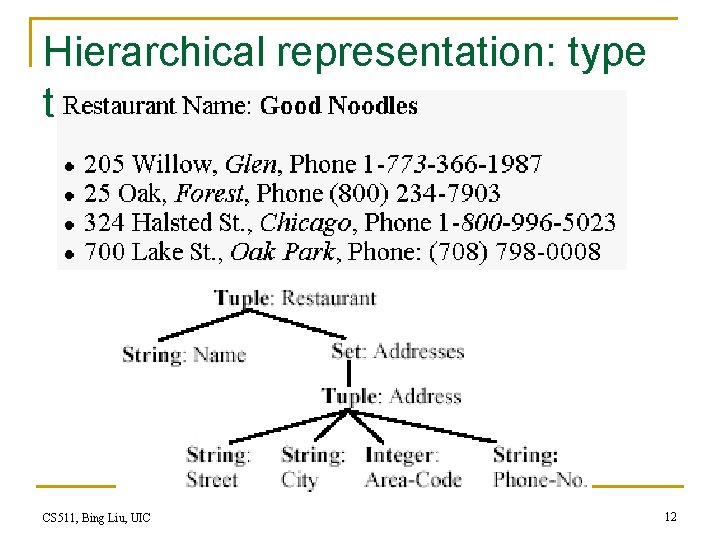 Hierarchical representation: type tree CS 511, Bing Liu, UIC 12 