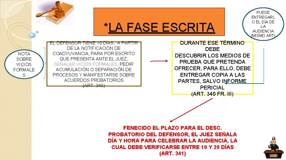*LA FASE ESCRITA NOTA SOBRE VICIOS FORMALE S EL DEFENSOR TIENE 10 DÍAS, A