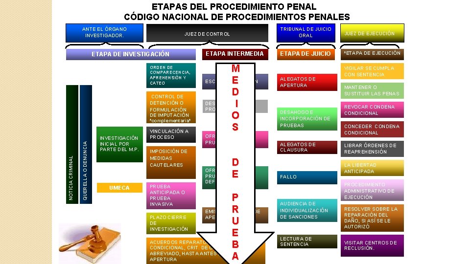 ETAPAS DEL PROCEDIMIENTO PENAL CÓDIGO NACIONAL DE PROCEDIMIENTOS PENALES ANTE EL ÓRGANO INVESTIGADOR. JUEZ