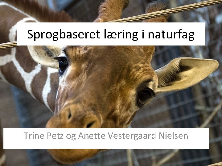 Sprogbaseret læring i naturfag Trine Petz og Anette Vestergaard Nielsen 