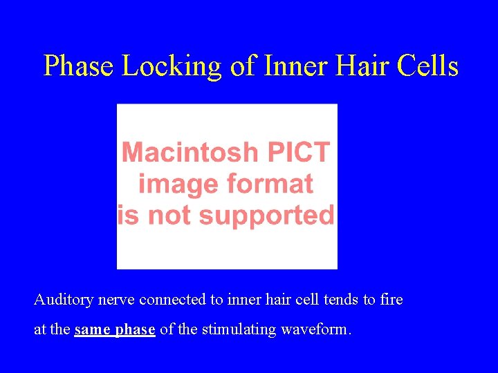 Phase Locking of Inner Hair Cells Auditory nerve connected to inner hair cell tends