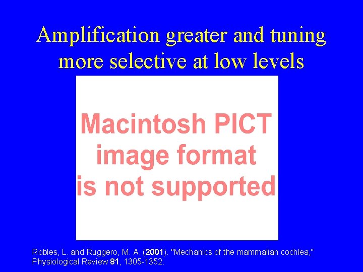 Amplification greater and tuning more selective at low levels Robles, L. and Ruggero, M. Amplification greater and tuning more selective at low levels Robles, L. and Ruggero, M.
