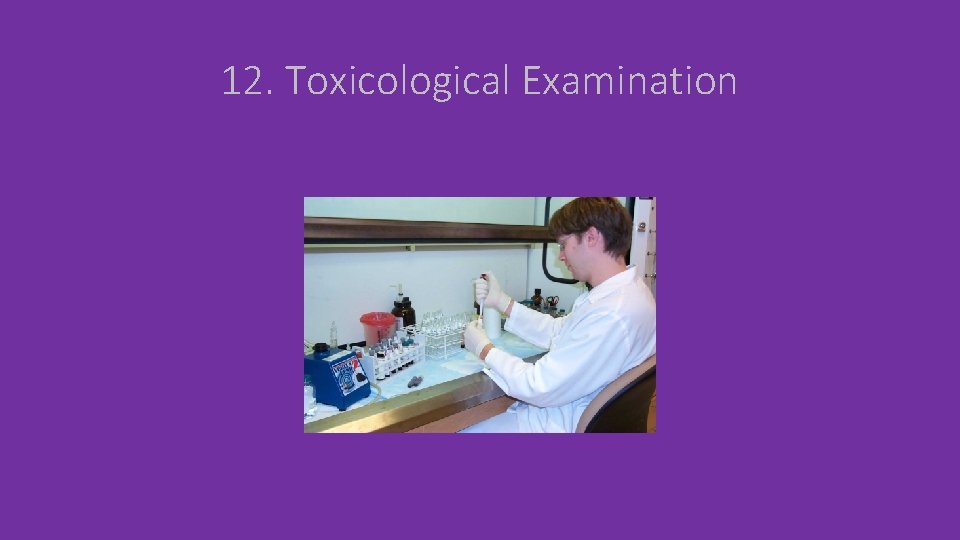 12. Toxicological Examination 