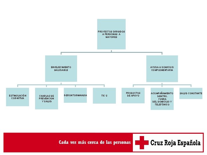 PROYECTOS DIRIGIDOS A PERSONAS A MAYORES ENVEJECIMIENTO SALUDABLE ESTIMULACIÓN COGNITIVA CHARLAS DE PREVENCION Y