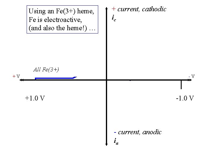 Using an Fe(3+) heme, Fe is electroactive, (and also the heme!) … + current,