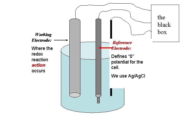 Working Electrode: Where the redox reaction occurs the black box Reference Electrode: Defines “