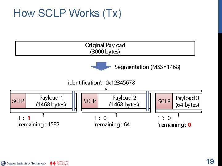 How SCLP Works (Tx) Original Payload (3000 bytes) Segmentation (MSS=1468) 'identification': 0 x 12345678