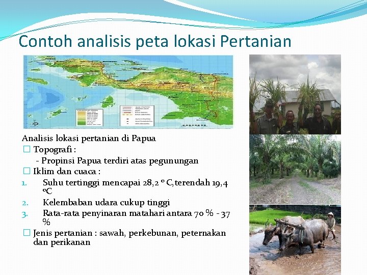 Contoh analisis peta lokasi Pertanian Analisis lokasi pertanian di Papua � Topografi : -