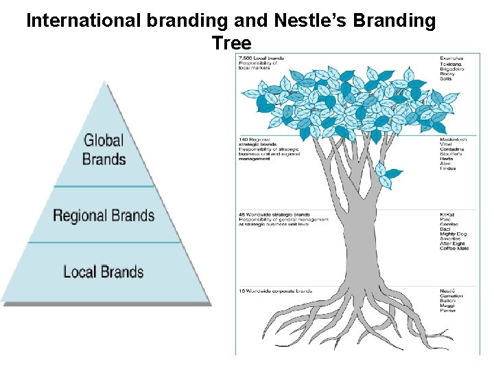 International branding and Nestle’s Branding Tree 
