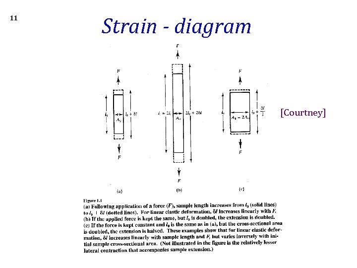 11 Strain - diagram [Courtney] 