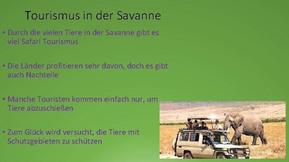 Tourismus in der Savanne • Durch die vielen Tiere in der Savanne gibt es