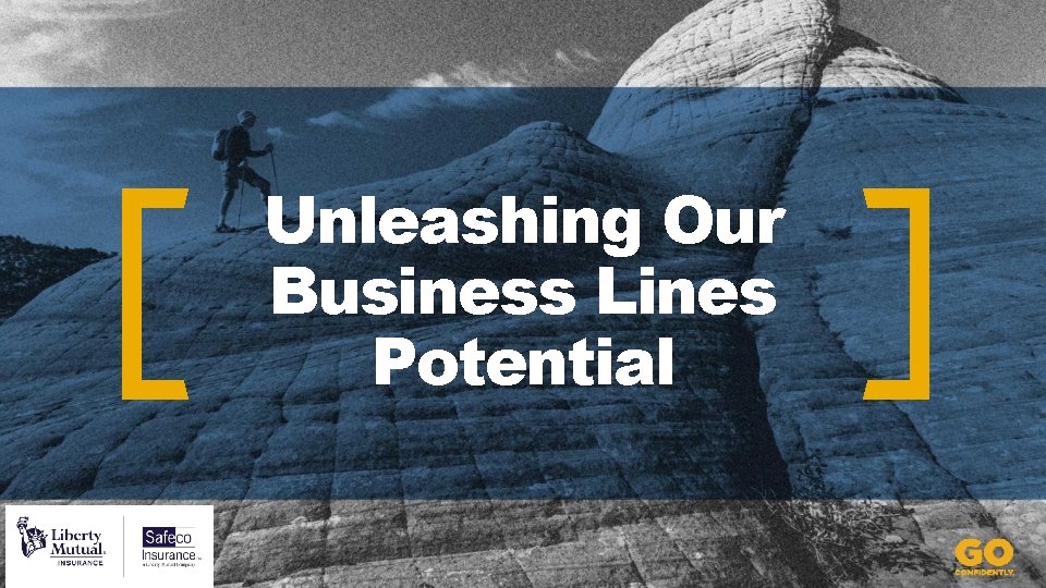 Unleashing Our Business Lines Potential 