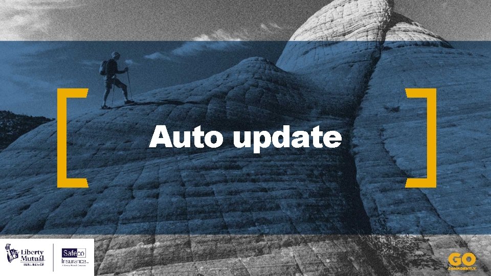 Auto update 