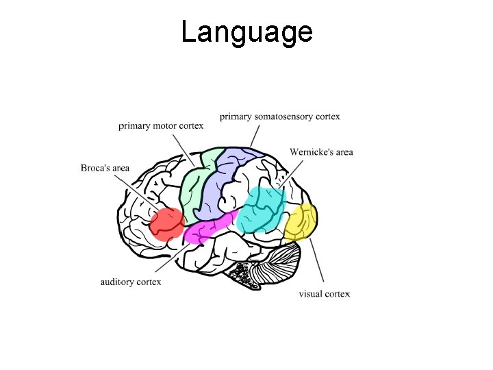 Language Language