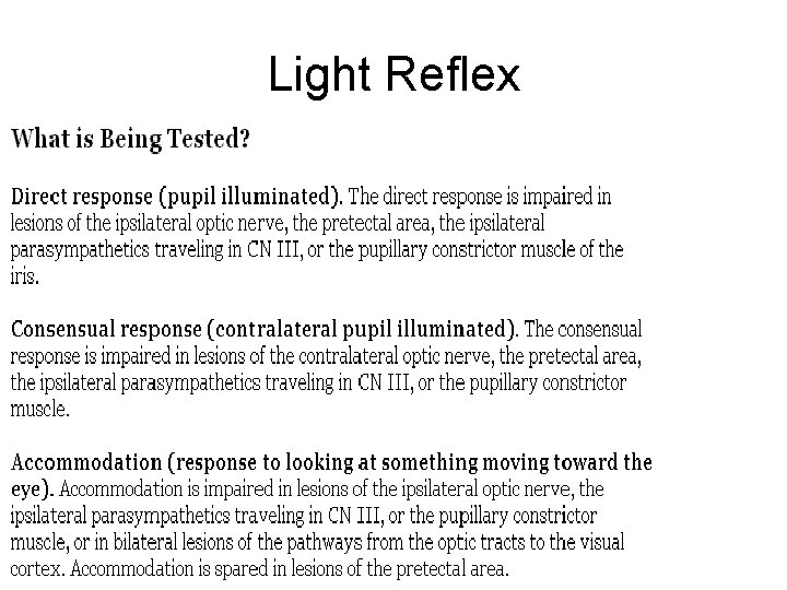 Light Reflex Light Reflex