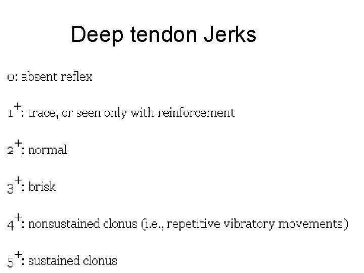 Deep tendon Jerks Deep tendon Jerks