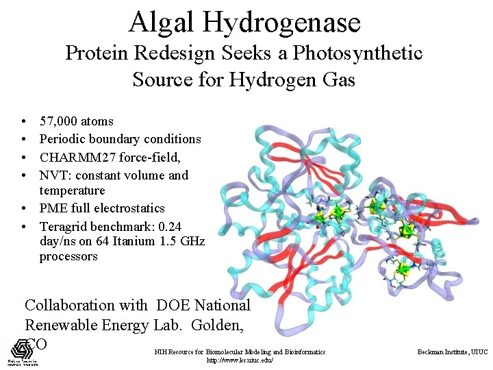 Algal Hydrogenase Protein Redesign Seeks a Photosynthetic Source for Hydrogen Gas • • 57,