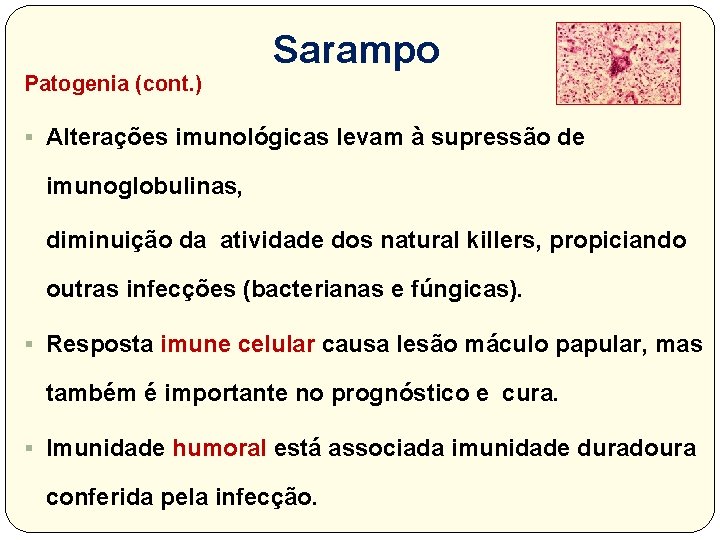 Patogenia (cont. ) Sarampo § Alterações imunológicas levam à supressão de imunoglobulinas, diminuição da