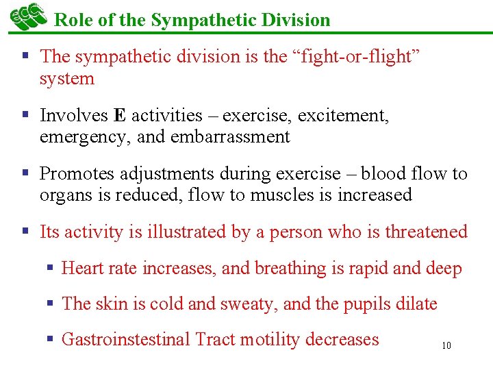 Role of the Sympathetic Division § The sympathetic division is the “fight-or-flight” system §