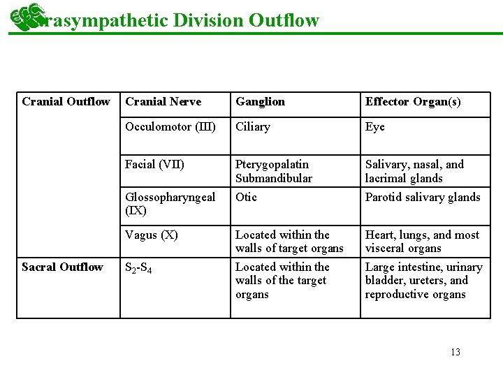 Parasympathetic Division Outflow Cranial Nerve Ganglion Effector Organ(s) Occulomotor (III) Ciliary Eye Facial (VII)