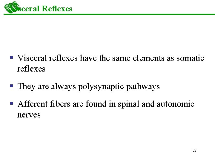 Visceral Reflexes § Visceral reflexes have the same elements as somatic reflexes § They