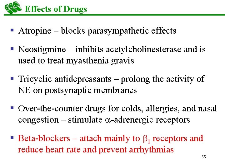 Effects of Drugs § Atropine – blocks parasympathetic effects § Neostigmine – inhibits acetylcholinesterase